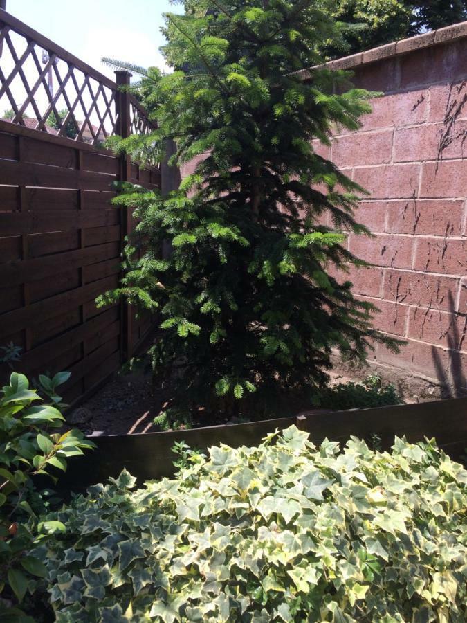 La Porta Nel Giardino Διαμέρισμα Άστι Εξωτερικό φωτογραφία