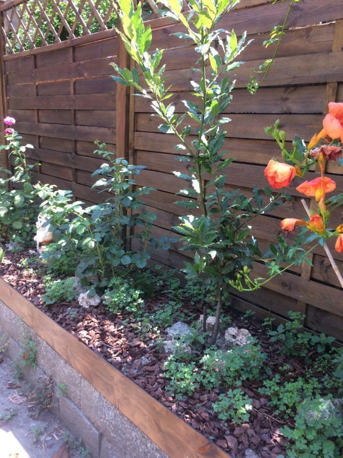 La Porta Nel Giardino Διαμέρισμα Άστι Εξωτερικό φωτογραφία