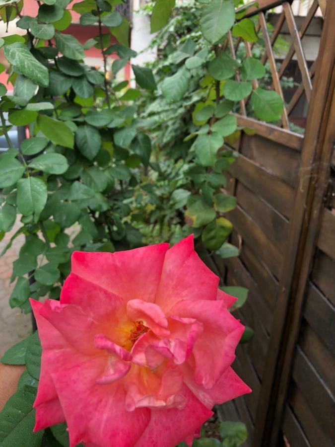 La Porta Nel Giardino Διαμέρισμα Άστι Εξωτερικό φωτογραφία